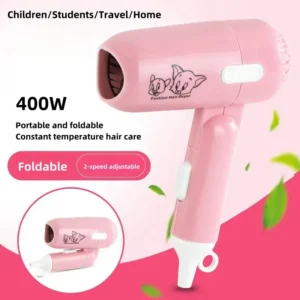 Portable & Foldable Mini Fashion Hair Dryer (400W)